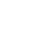 Simba Umeme Engineering lion crest logo